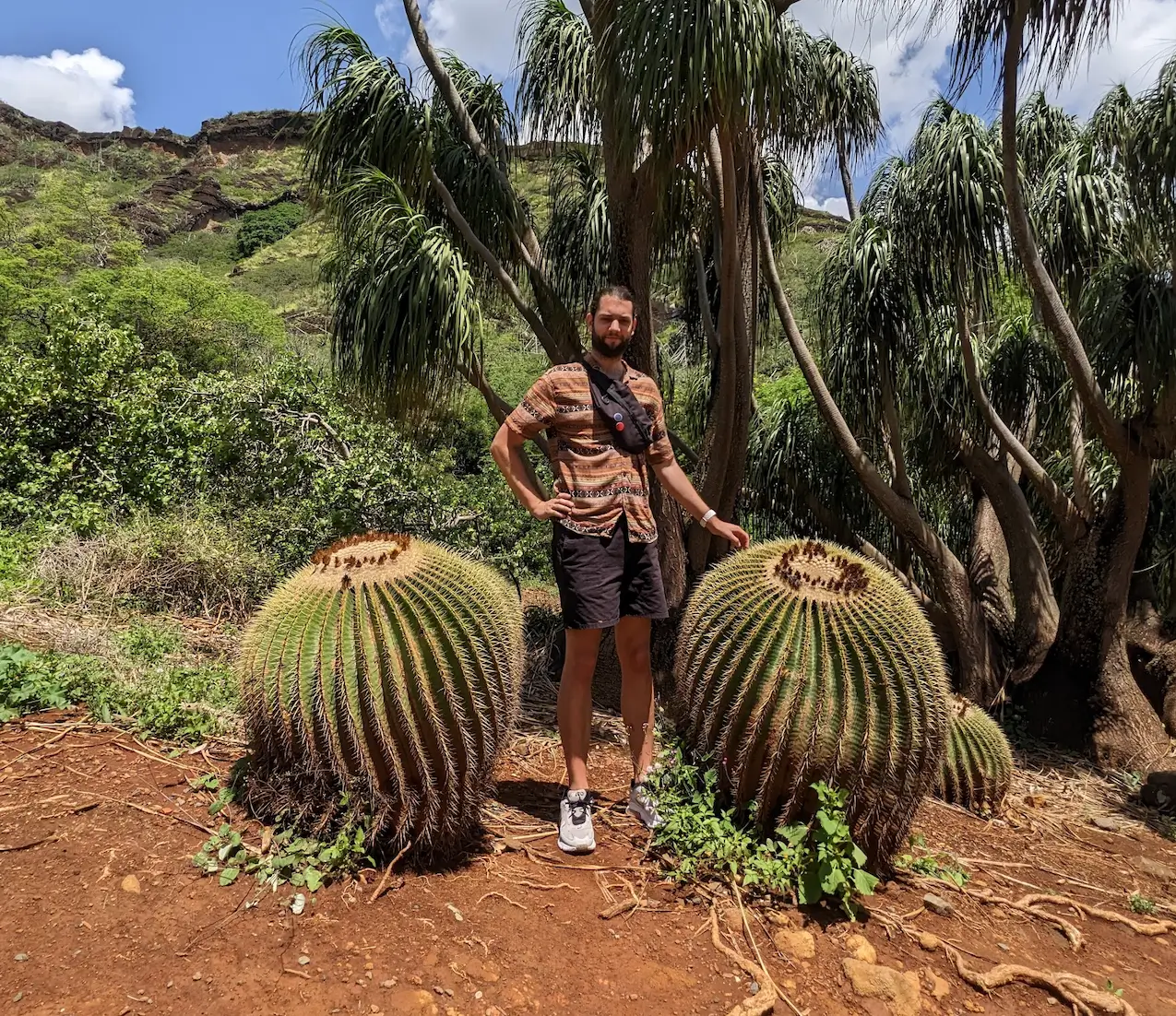 Vereinsmitglied Moritz steht zwischen zwei großen Echinocactus-Exemplaren auf Honolulu in Hawaii